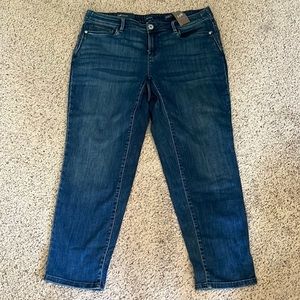 NWT J. Jill jeans. Size 16P.